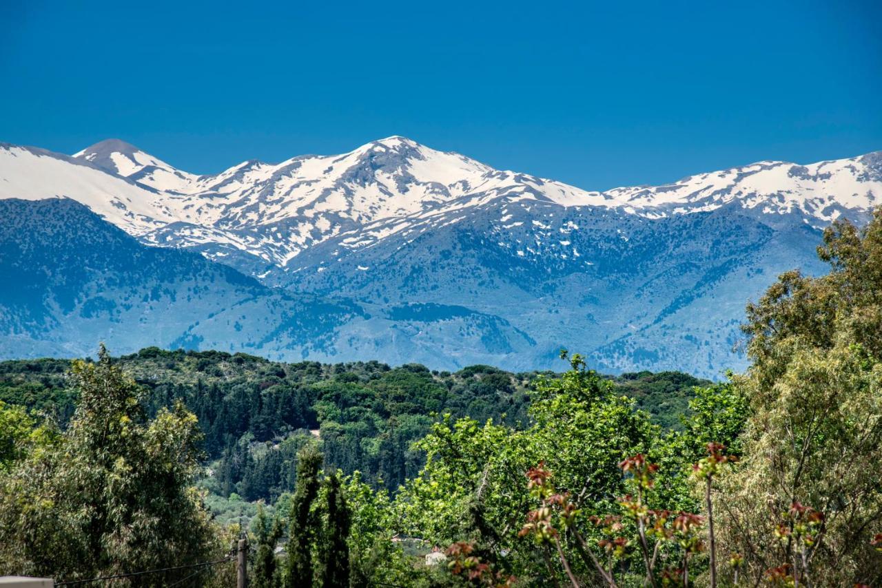 Argoulides Traditional Appartments Χανιά Εξωτερικό φωτογραφία